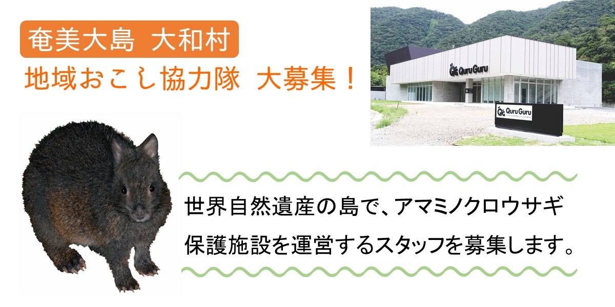 奄美大島大和村でアマミノクロウサギ保護施設運営に携わる地域おこし協力隊を募集します。